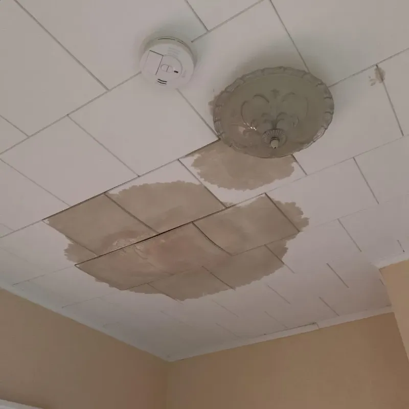 Ceiling Water Damage Repair in Trent Woods, NC